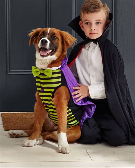 costumes with dogs|best dog and owner costumes.